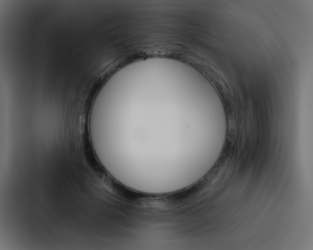 X0000088230652200705151050