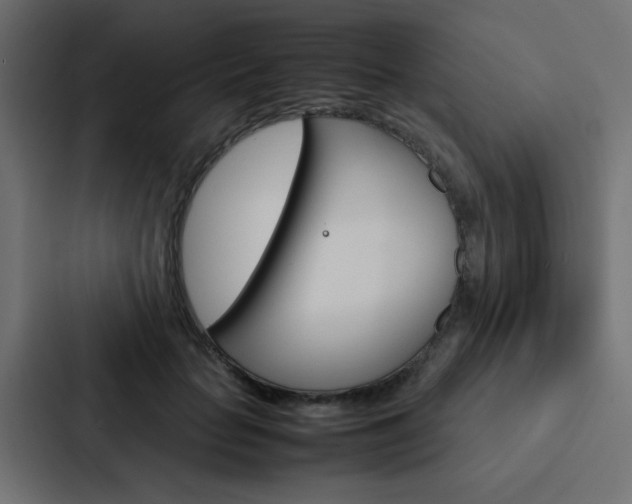 X0000088230653200705151050