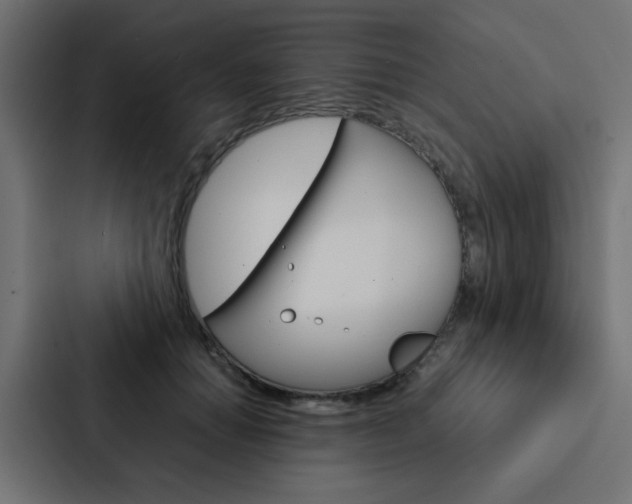 X0000088230654200705151050