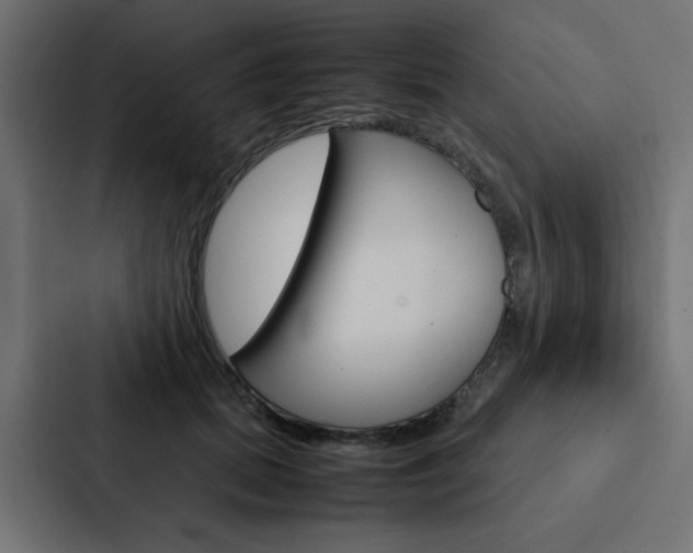 X0000088230655200705151050