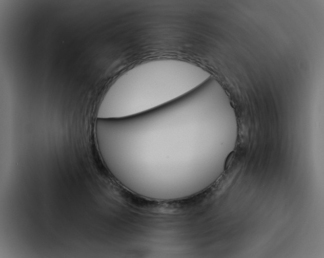X0000088230656200705151050
