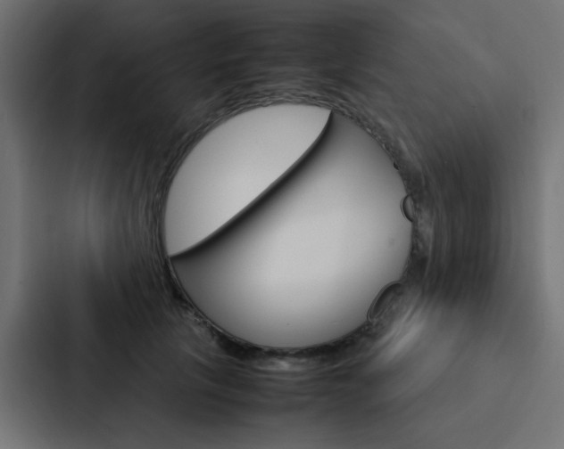 X0000088230657200705151050