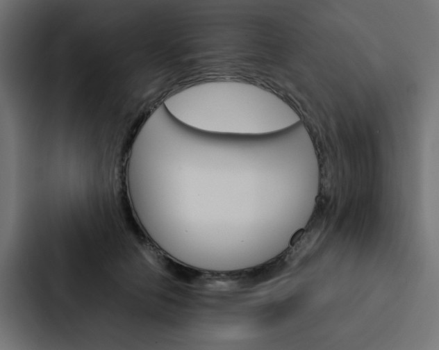 X0000088230658200705151050