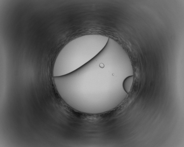 X0000088230659200705151050