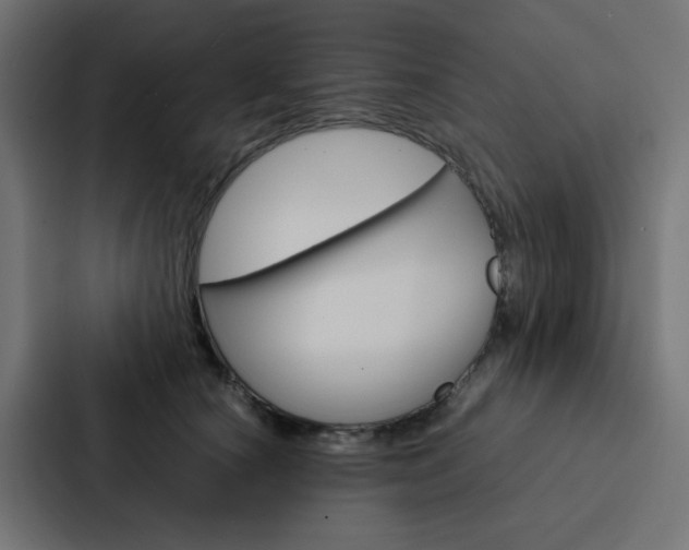 X0000088230660200705151050