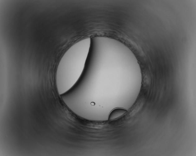 X0000088230661200705151050
