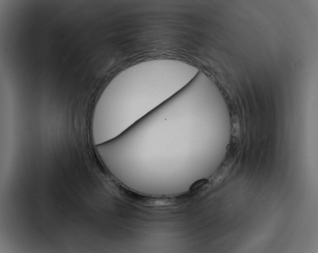 X0000088230662200705151050