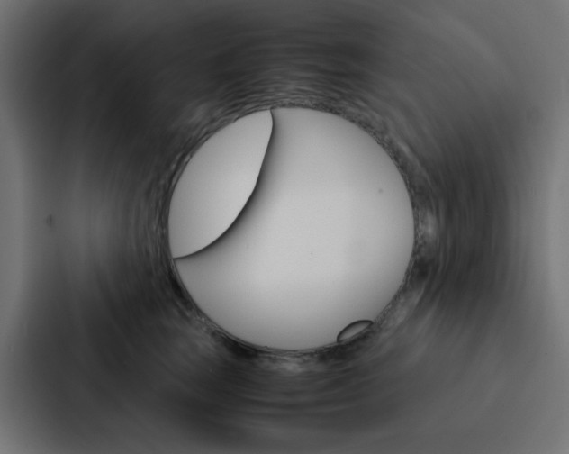 X0000088230663200705151050