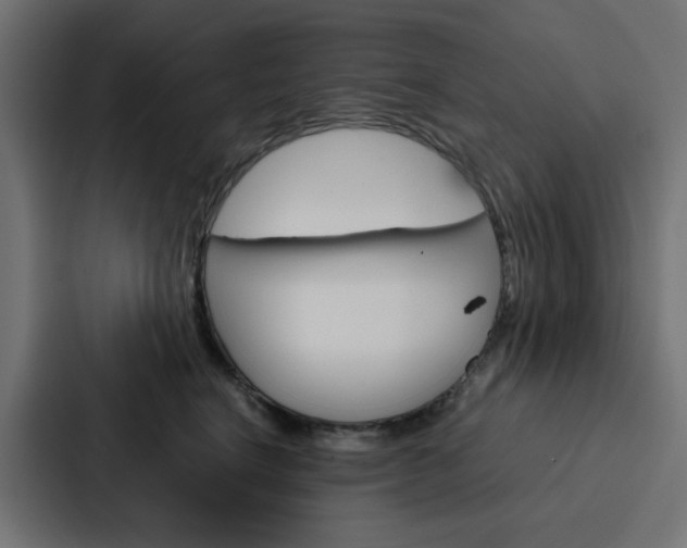 X0000088230664200705151050