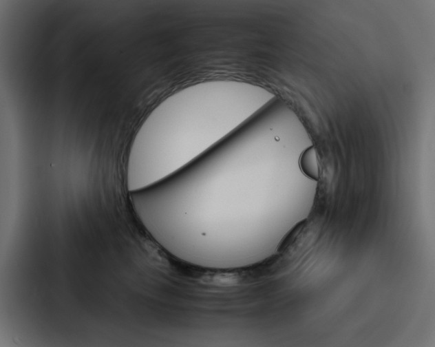 X0000088230665200705151050