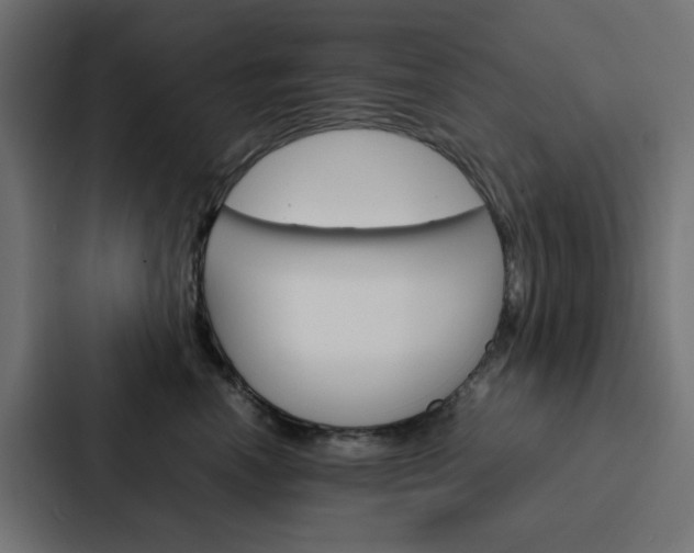 X0000088230666200705151050