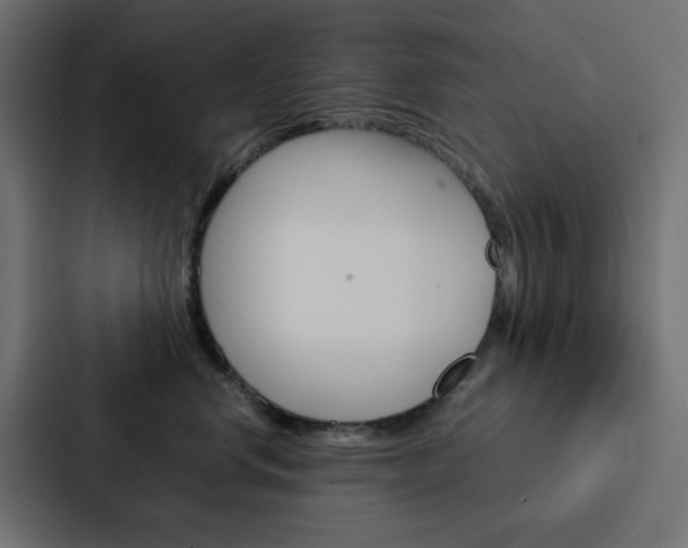 X0000088230668200705151050
