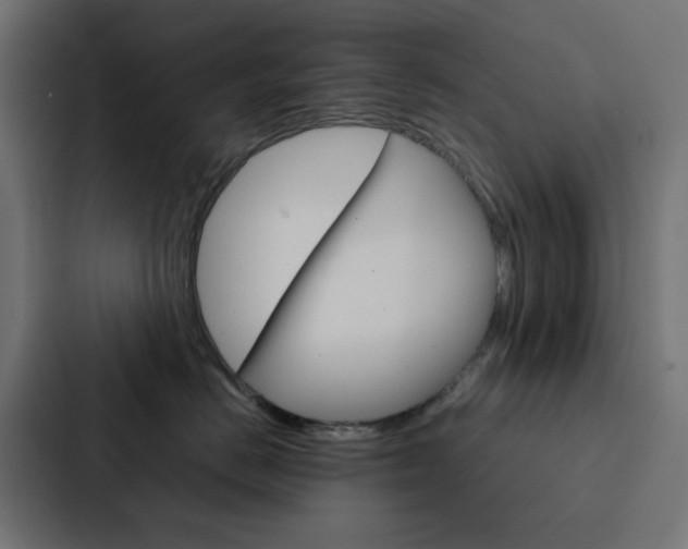 X0000088230670200705151050