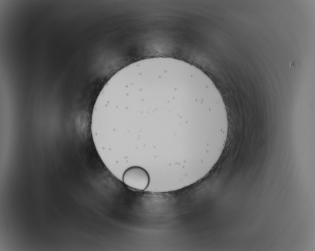 X0000088230672200705151050