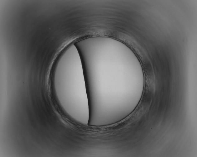 X0000088230674200705151049