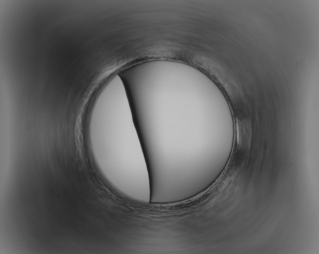 X0000088230675200705151049