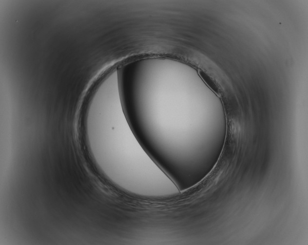 X0000088230676200705151049