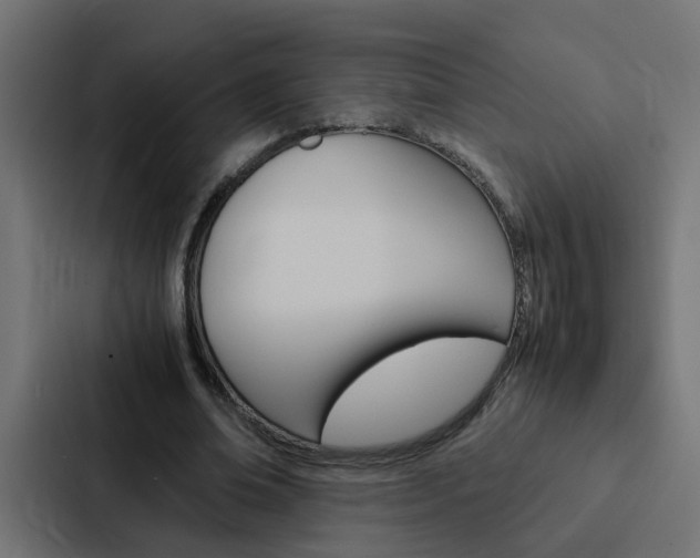 X0000088230678200705151049