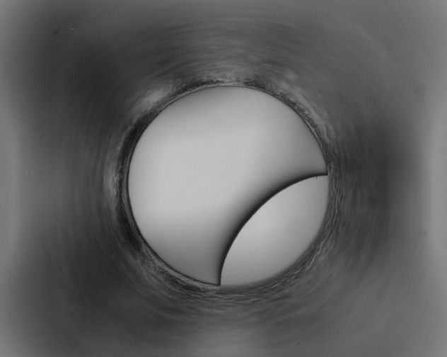 X0000088230679200705151049
