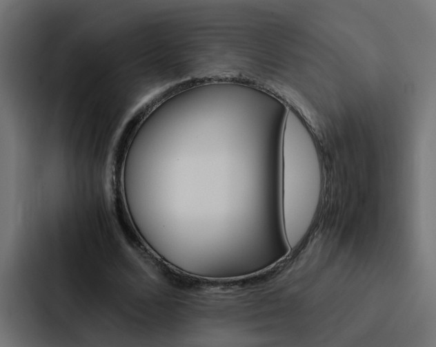 X0000088230680200705151049