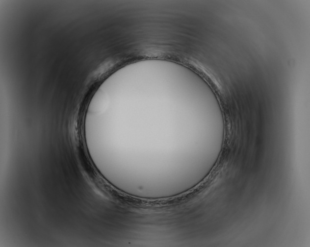 X0000088230682200705151049
