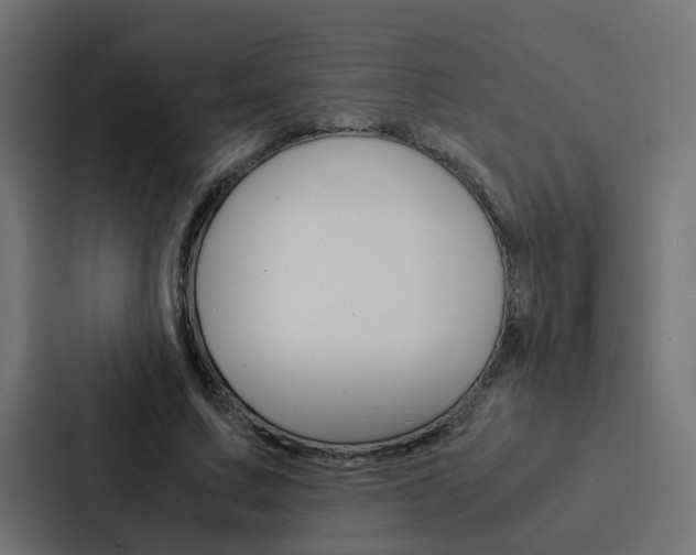 X0000088230683200705151049