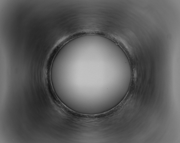 X0000088230684200705151049