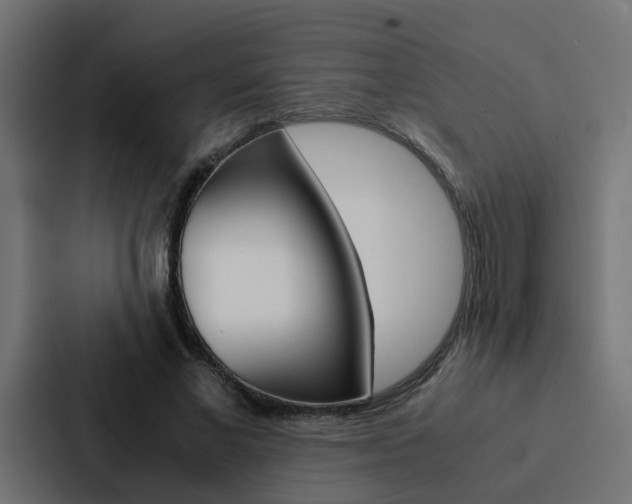 X0000088230685200705151049
