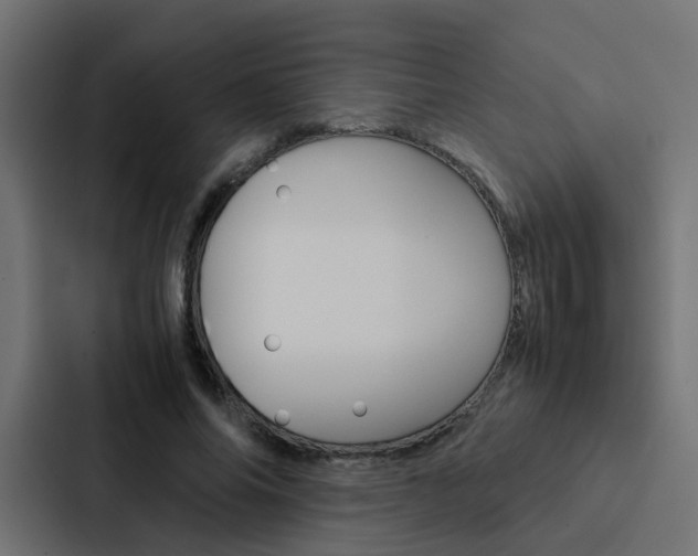 X0000088230686200705151049