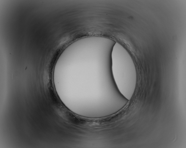 X0000088230687200705151049
