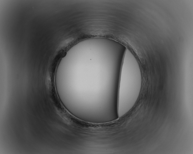 X0000088230688200705151049