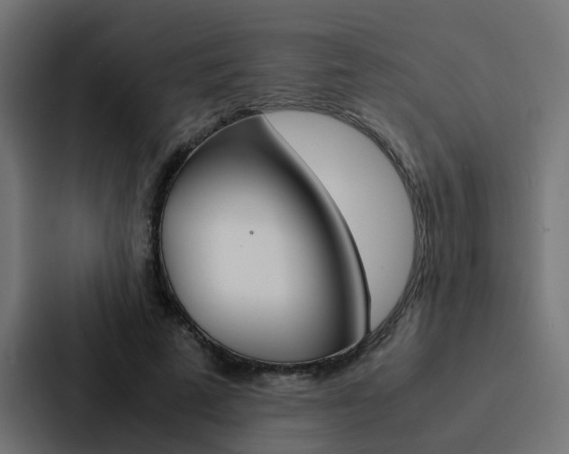 X0000088230689200705151049