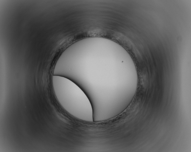 X0000088230690200705151049