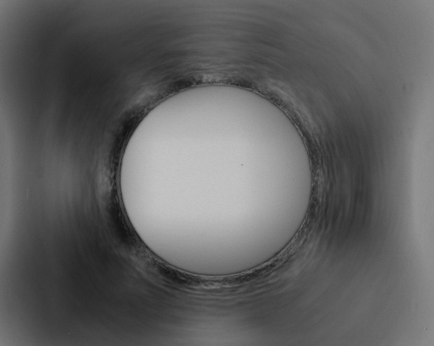 X0000088230691200705151049