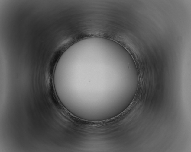 X0000088230692200705151049