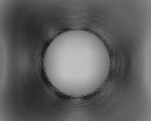 X0000088230695200705151049