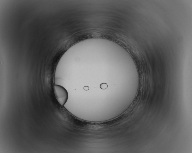 X0000088230698200705151049