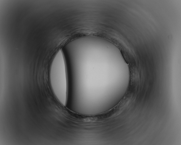 X0000088230700200705151049