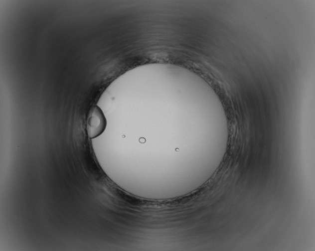 X0000088230702200705151049