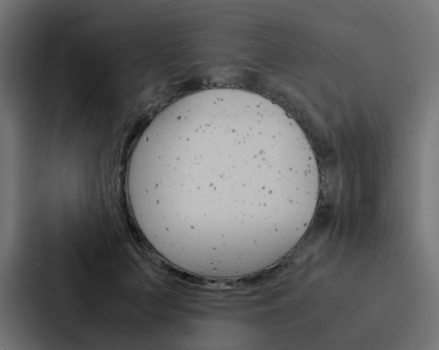 X0000088230703200705151049