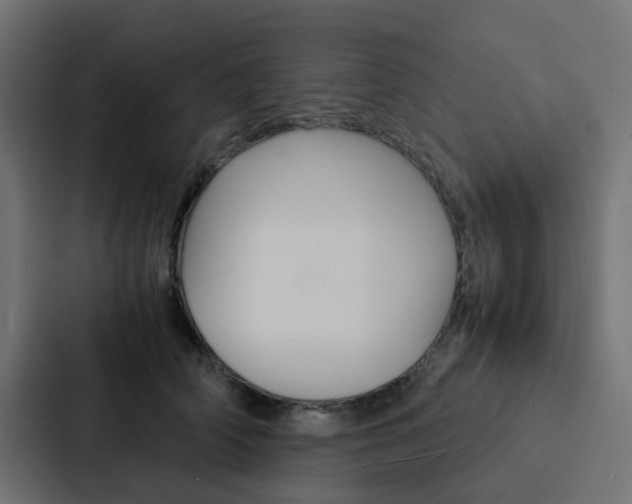 X0000088230706200705151049