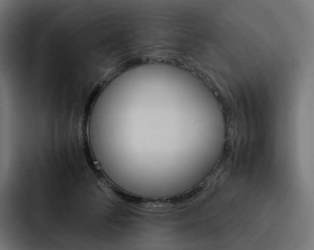 X0000088230708200705151049