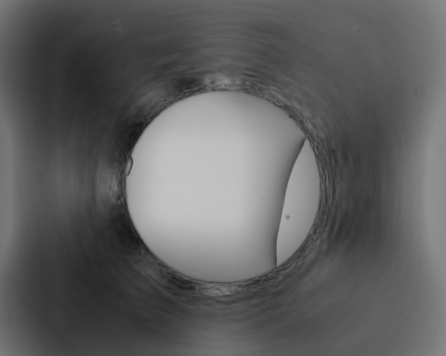 X0000088230709200705151049