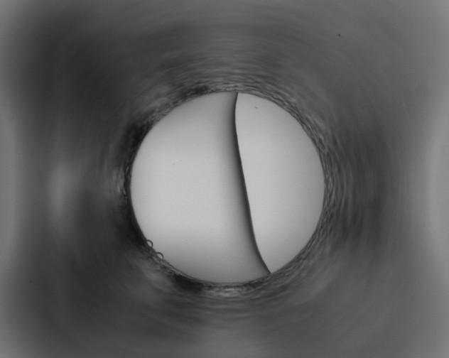 X0000088230711200705151049