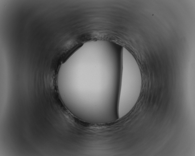 X0000088230712200705151049