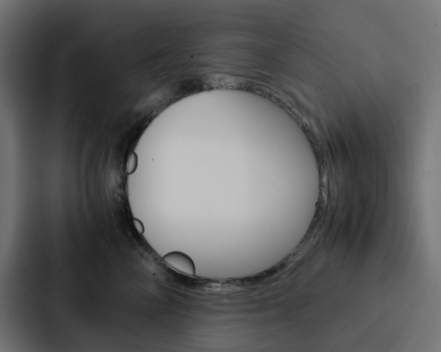 X0000088230714200705151049