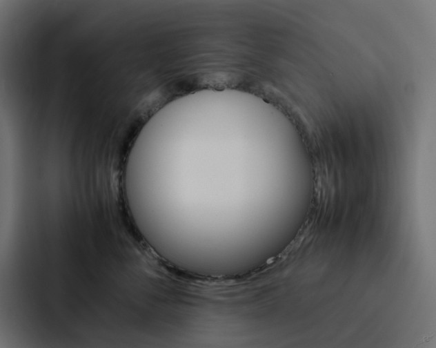 X0000088230716200705151049