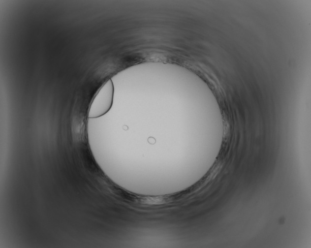 X0000088230717200705151049