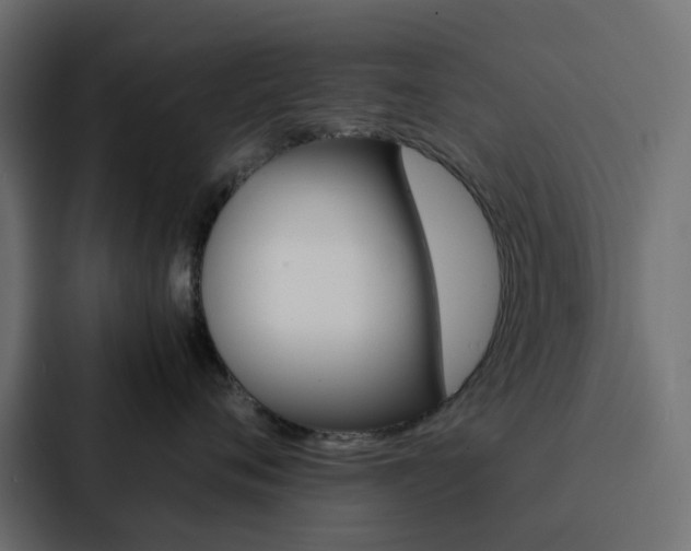 X0000088230720200705151049