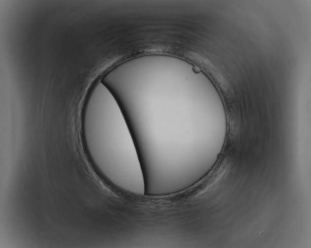X0000088230721200705151048